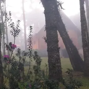 Bosque Araucárias Campos do Jordão